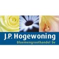 101502 - J.P. Hogewoning