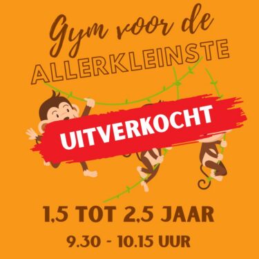Gym voor de kleinsten, dreumesen, 1,5 tot 2,5 jaar